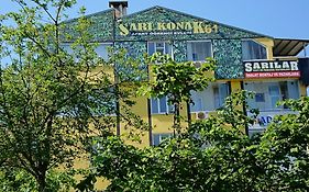 Sari Konak 61